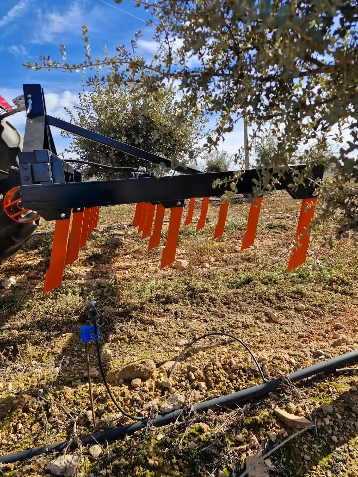 Descompactador para cultivo de trufa
