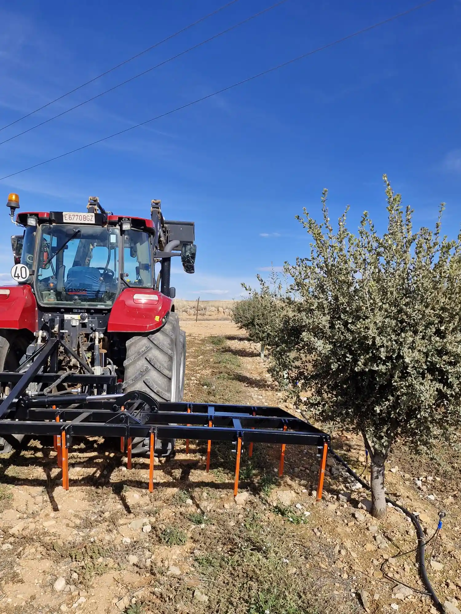 Descompactador para cultivo de trufa