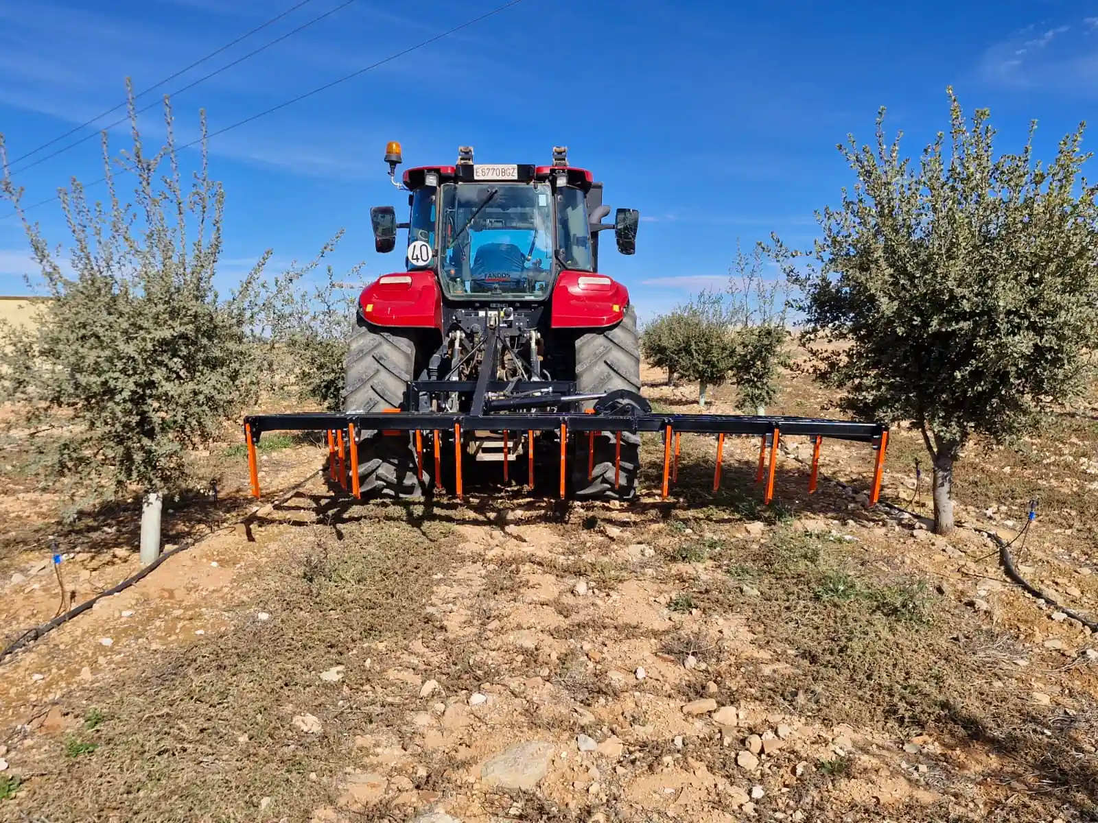 Descompactador para cultivo de trufa