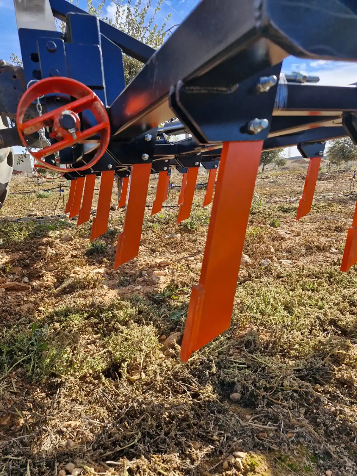 Descompactador para cultivo de trufa